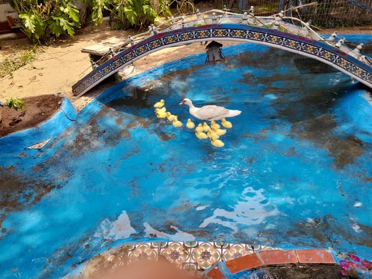 La Posada Del Sol Villa Gesell Ngoại thất bức ảnh