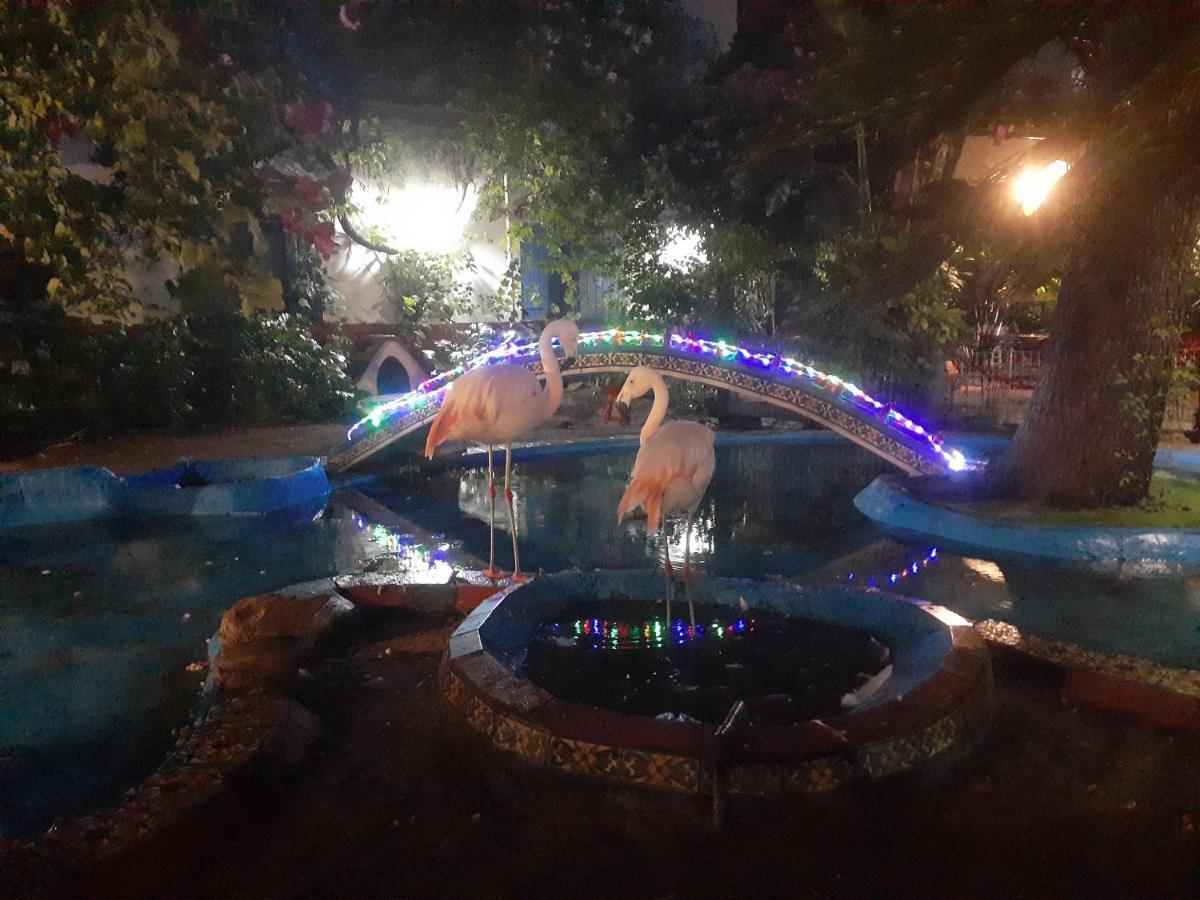 La Posada Del Sol Villa Gesell Ngoại thất bức ảnh