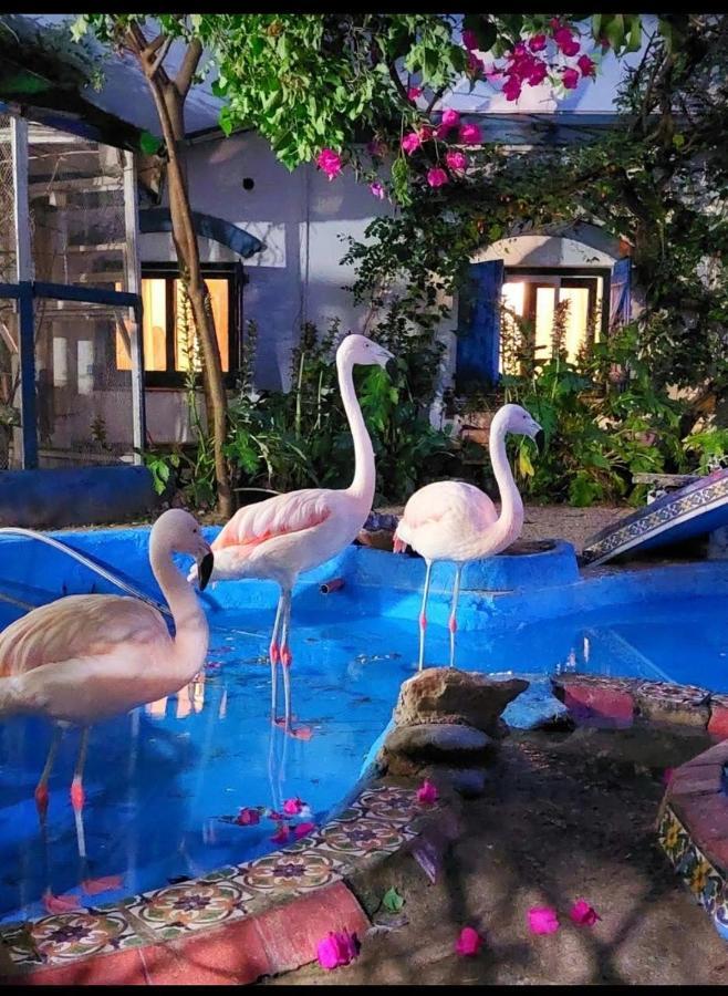 La Posada Del Sol Villa Gesell Ngoại thất bức ảnh